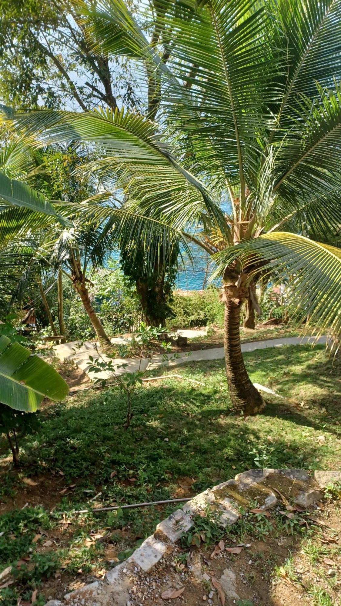 Saracura Hotel Praia de Aracatiba Luaran gambar